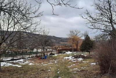 Oportunitate de investitie, teren intravilan Husi, 10435 mp - 4