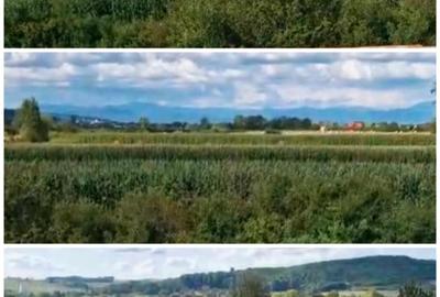 Sălsig Casă La Roșu + 4870 mp intravilan împrejmuit - 9