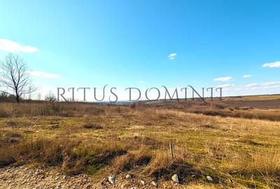 Teren Construcții intravilan de 8592 mp, în Paleu - 2