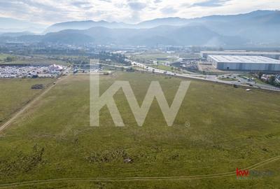 Vanzare teren 5337 mp Bartolomeu zona CATTIA - 6