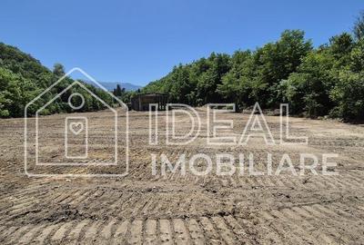 Teren de 18259 mp, în Chirpăr - 1