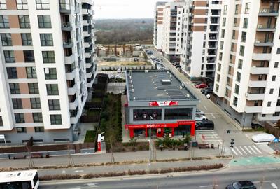 Spațiu comercial, de 713 mp, în Drumul Taberei - 9