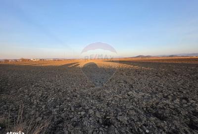 Spațiu comercial, în Hălchiu - 8