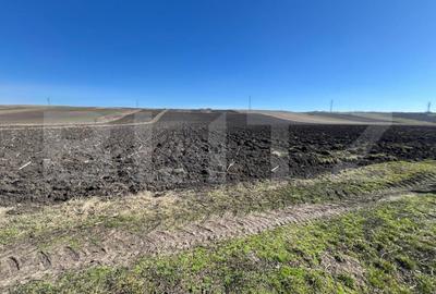Teren agricol extravilan de 26000 mp, în Bonțida