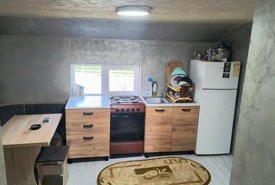 Casă cu 3 camere cu Teren 3000 Mp în Central - 7