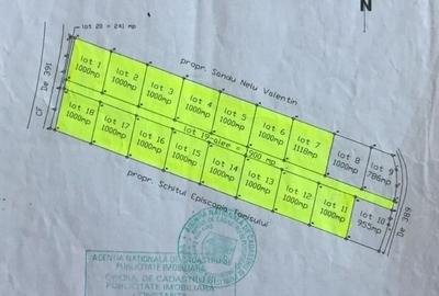 Teren Construcții intravilan de 17000 mp, în Costinești - 6