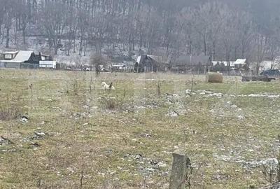 Teren de 5200 mp, în Central