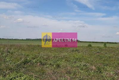 Teren Construcții intravilan de 3820 mp, în 1 Decembrie - 5