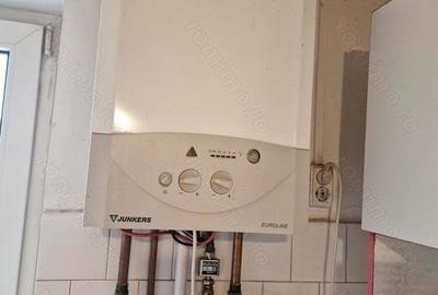 Proprietar-Centru Recas-langa parc - 8