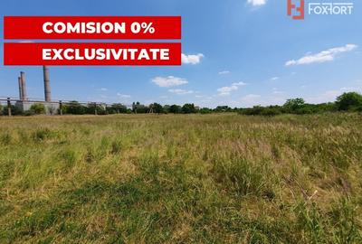 COMISION 0% Teren de vanzare intravilan de 5000 mp in Chisoda - 8