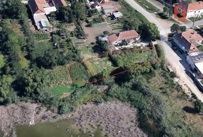 Teren intravilan 1349 mp, pretabil constructii, Sacalaz Teren intravilan 1349 mp, pretabil constructii, Sacalaz - 3