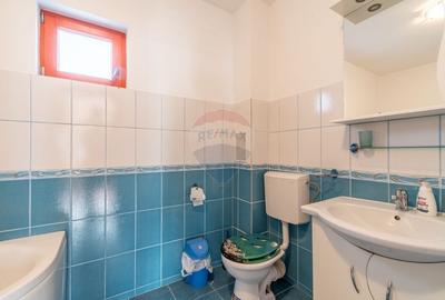 Casa de vanzare Jucu de Mijloc, Zona Panemar Teren intravilan 3301 mp - 11