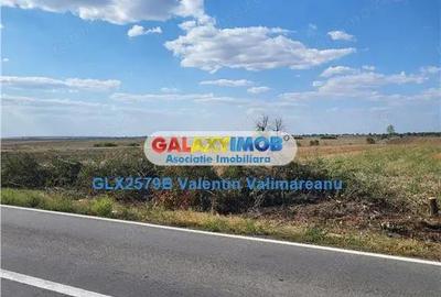 Teren de 17067 mp, în Petrăchioaia