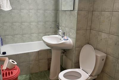 Garsonieră în Brazda lui Novac