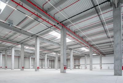 Spațiu industrial, 189500 mp în Ștefăneștii de Jos