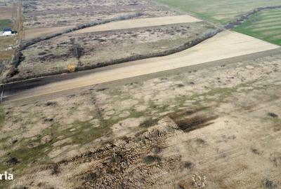 Spațiu comercial, în Moșnița Nouă - 3