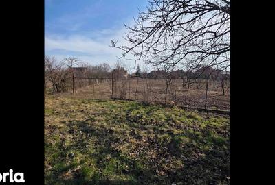 Casă cu 3 camere cu Teren 4041 Mp în Roșiori - 3