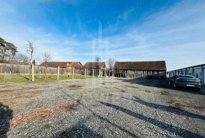 Spațiu comercial, de 430 mp, în Cristian - 9