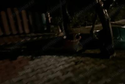 Casă cu 3 camere cu Teren 715 Mp în Cetate - 16