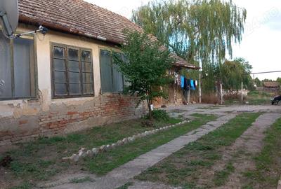 Casa de Vanzare - Sannicolau Mare - 3