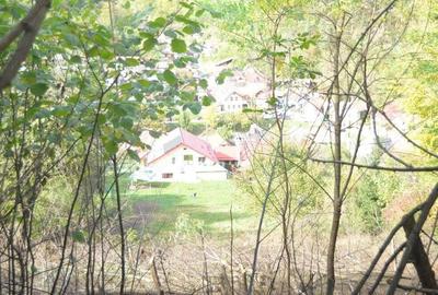 Teren intravilan Brasov-Schei - 7