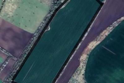 Teren de 104000 mp, în Pișchia - 1