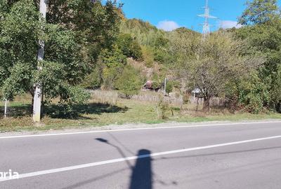 Teren de 1075 mp, în Malaia - 4