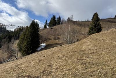 Teren de 5000 mp, în Măguri - 2