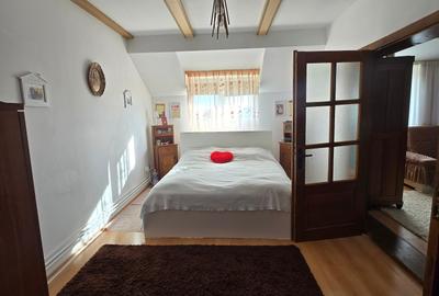 Utvin-Central-Vila S+P+E+M-360mp-2 accese-Garaj - 15