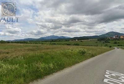 Teren Construcții intravilan de 10000 mp, în Tohanu Nou - 2