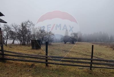 Teren Construcții intravilan de 26238 mp, în Dorna-Arini - 8