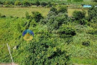 Teren intravilan com. Alexandru cel Bun- Viisoara - 2