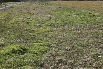 Teren de 1235 mp, în Brăniștari