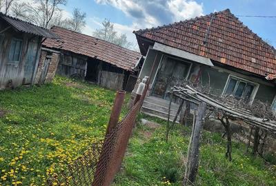 Casă cu Teren 1255 Mp în Săcelu - 8