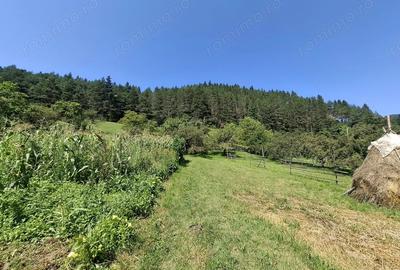 Se vinde proprietate la munte 7594mp - 4