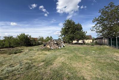 Casă cu 3 camere cu Teren 1230 Mp în Sălard - 12