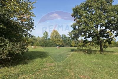 Teren Construcții intravilan de 10000 mp, în Călățele - 10