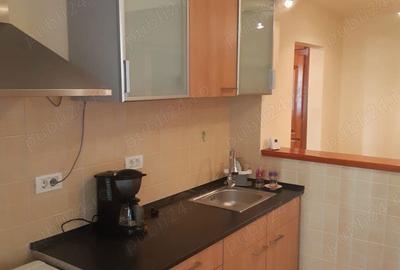 Apartament cu 2 camere decomandat în Podgoria - 3
