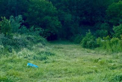 Casă cu 3 camere în Moneasa - 1