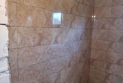 Casă cu 2 camere cu Teren 120 Mp în Sânpaul - 4