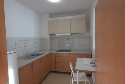 Apartament cu 2 camere semidecomandat, mobilat în Avantgarden - 7
