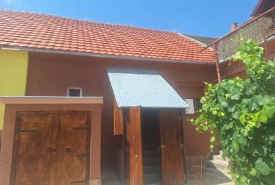 Casa de vanzare in Sannicolau mare timi? - 5