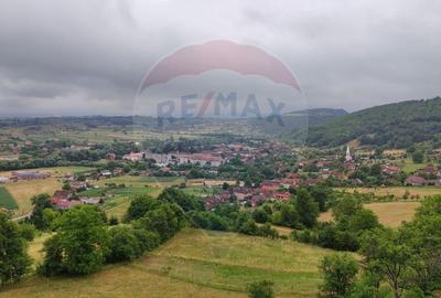 Casa de vacanta cu 6 camere de vanzare Suncuius - 17