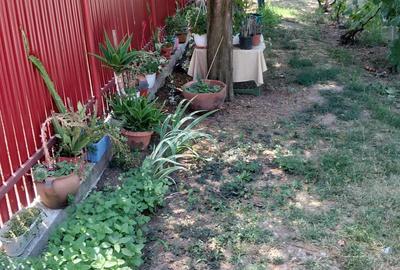 Casa de vanzare 50.000 euro - 3