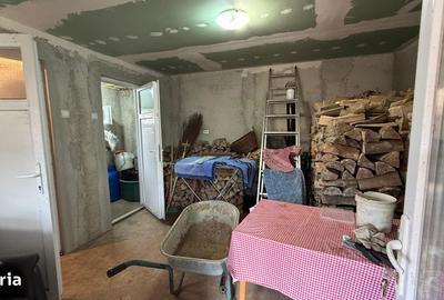 Casă cu 3 camere cu Teren 1798 Mp în Pișcolt - 12