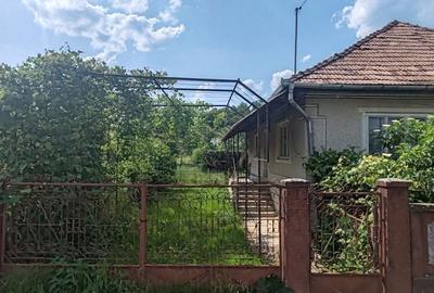 Casă cu 3 camere cu Teren 700 Mp în Românași - 5