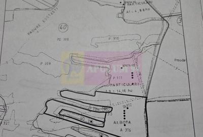 Teren de 94000 mp, în Bradu - 10