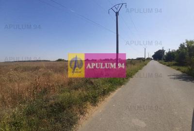 Teren Construcții intravilan de 1300 mp, în 1 Decembrie - 11