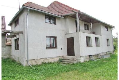 Casa deosebita cu gradina generoasa Vladeni - 2