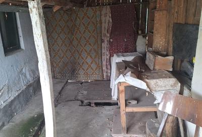 Vand casa teren 3000mp satul Gresia, Rosiorii de Vede, Teleorman Vand casa teren 3000mp satul Gresia, Rosiorii de Vede, Teleorman - 12